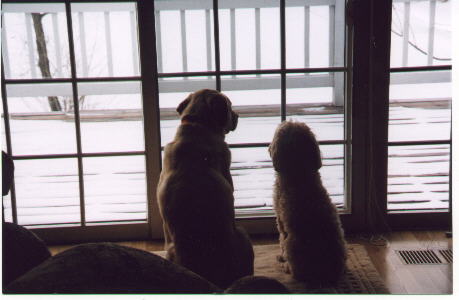 Sam & Abby Photo Here